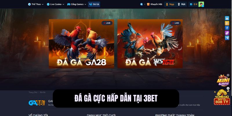 3BET