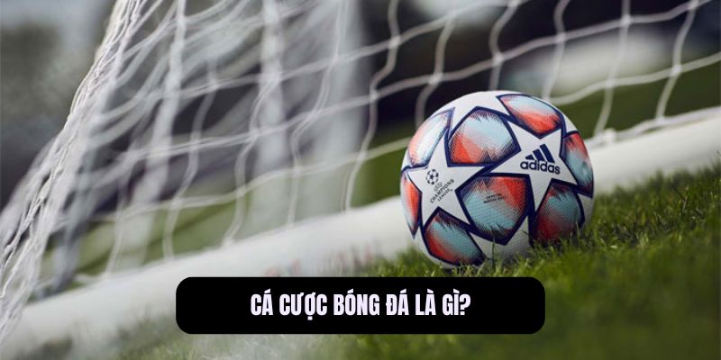 Cá cược bóng đá