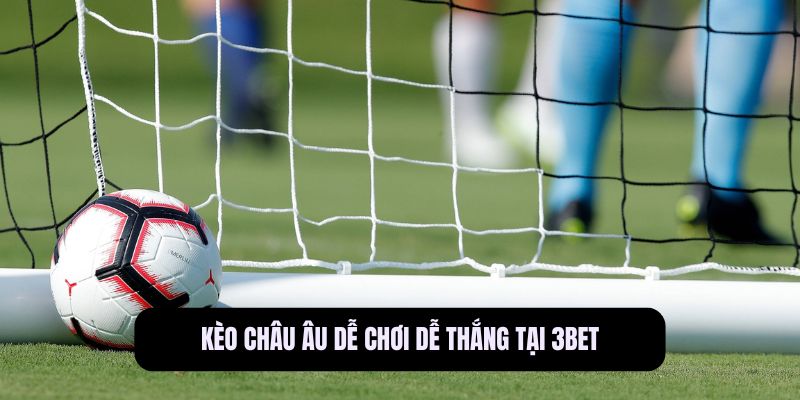 Cá cược bóng đá