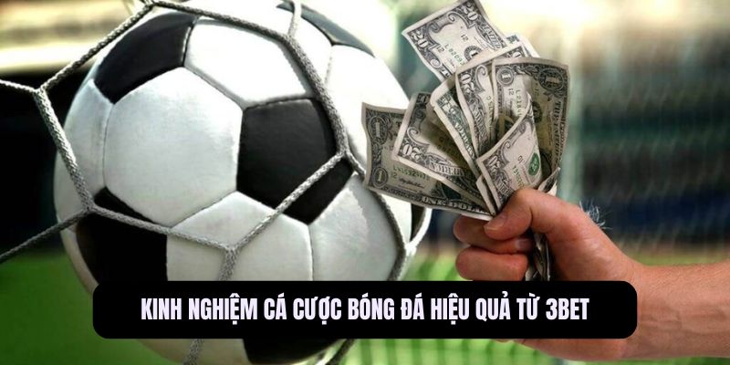Cá cược bóng đá