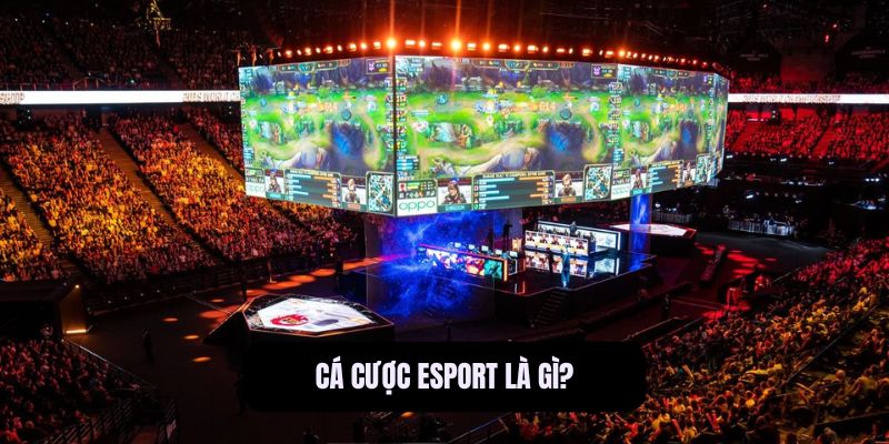 Cá Cược Esport