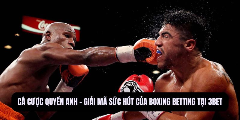 Cá cược quyền anh