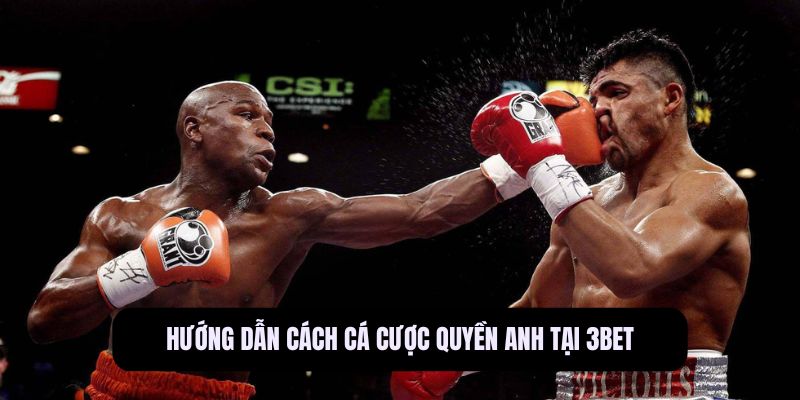 Cá cược quyền anh