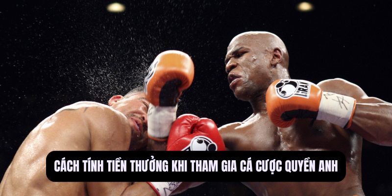 Cá cược quyền anh
