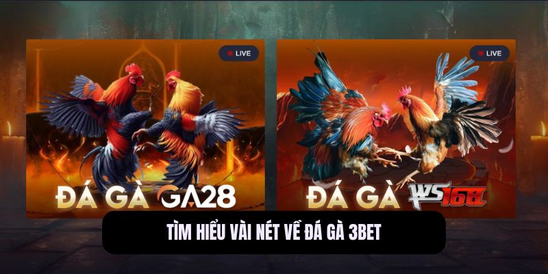 Đá Gà