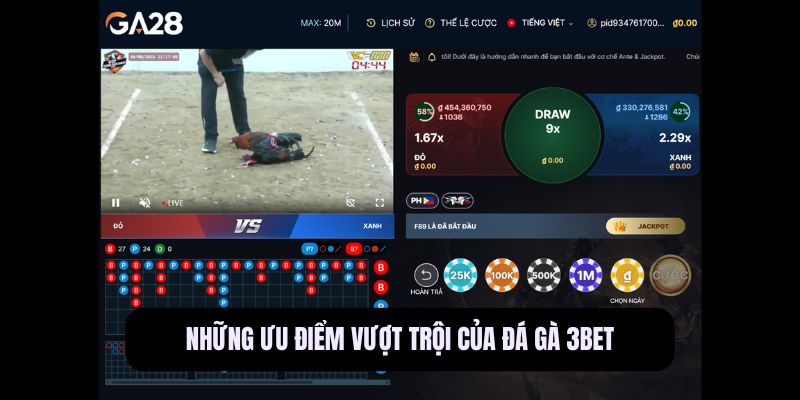 Đá Gà
