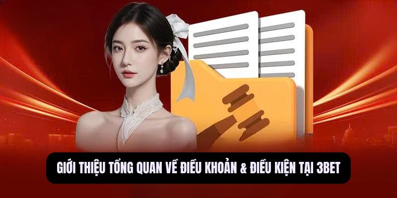 Điều Khoản & Điều Kiện