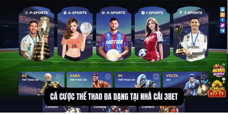 Về Chúng Tôi